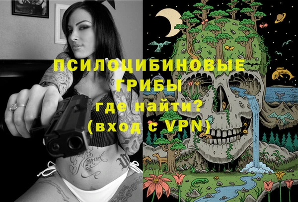 молекула духа Абинск