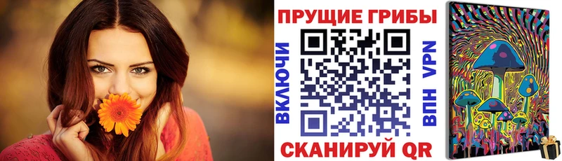 Галлюциногенные грибы мицелий  купить наркоту  Истра 